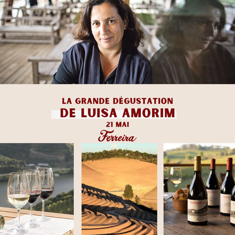 Luisa Amorim's Grand Tasting | Tuesday, May 21st, 6 PM